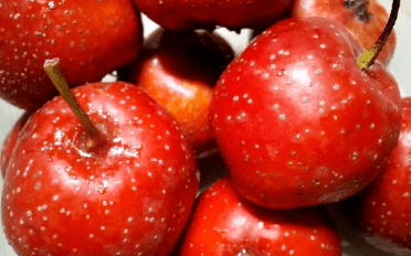 苹果和它一起煮，是天然“刮油冠军”，连续吃一周，口不臭了，小肚子消失了(图3)